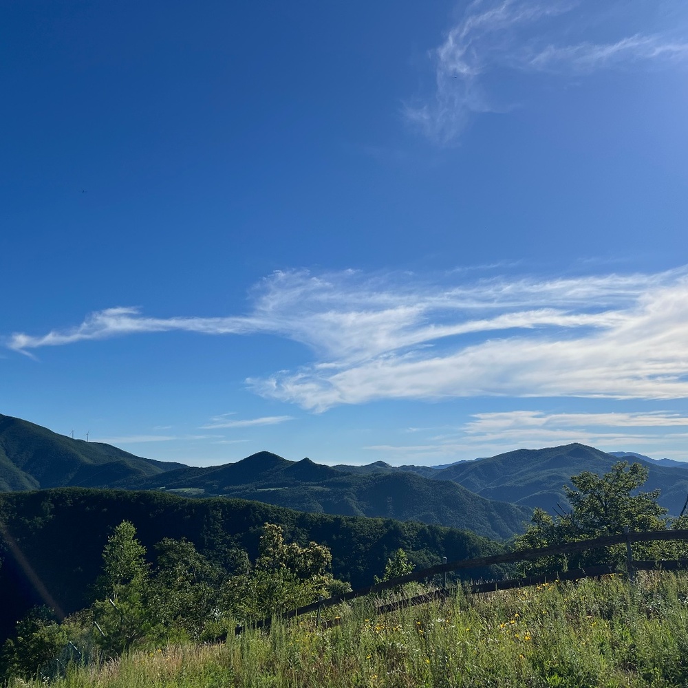 Meet your Posher, JJ